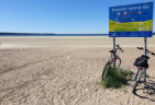 Badepause. Ostseestrand im Tallinner Westen an einem warmen Sommernachmittag