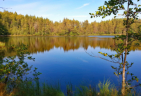 Einer von vielen: Einsamer Waldsee in Nordestland